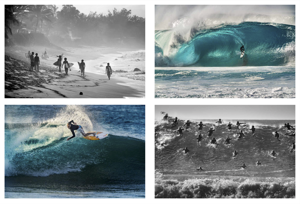 PURCHASE NORTH — Cannon Photography